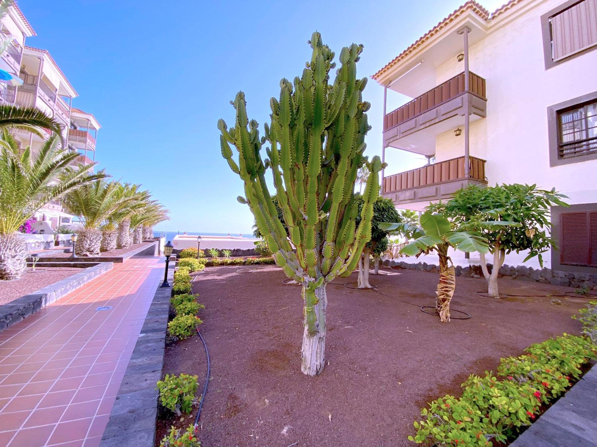 Апартаменты Tropicalidays Costa Mar Коста-дель-Силенцио Экстерьер фото